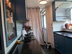 Lakeholmz (D22), Condominium #579182481